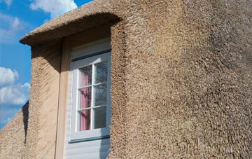 Buchan Hill thatch roof disadvantages