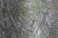 Buchan Hill fibreglass roof work